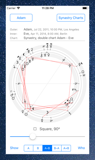 Time Nomad astrological chart of synastry