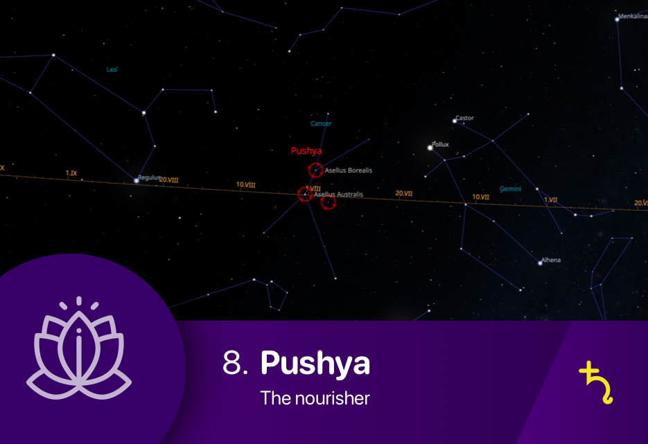 The Pushya nakshatra asterism fixed stars Asellus Borealis and Asellus Australis of Cancer constellation