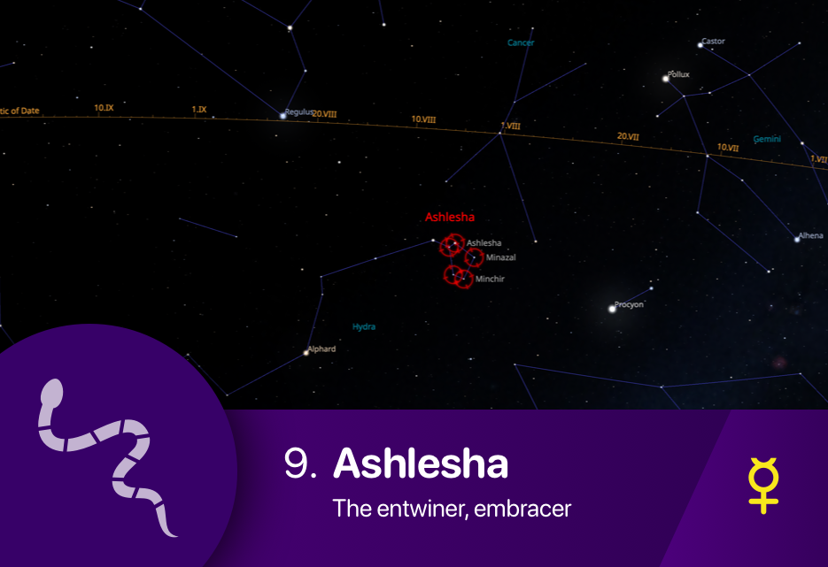 The Ashlesha nakshatra asterism fixed stars Ashlesha, Minazal and Minchir of Hydra constellation