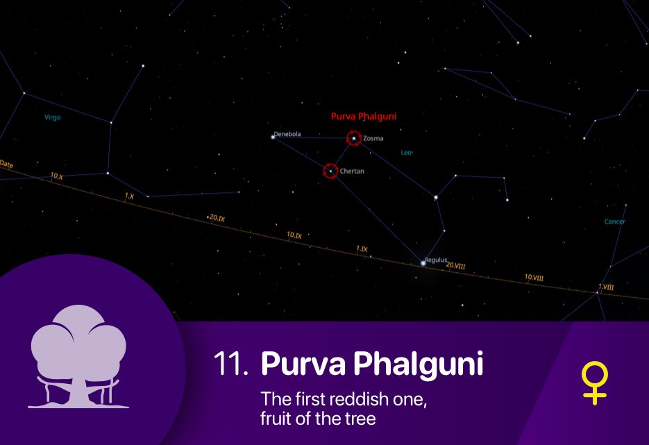 The Purva Phalguni nakshatra asterism fixed stars Zosma and Chertan of Leo constellation