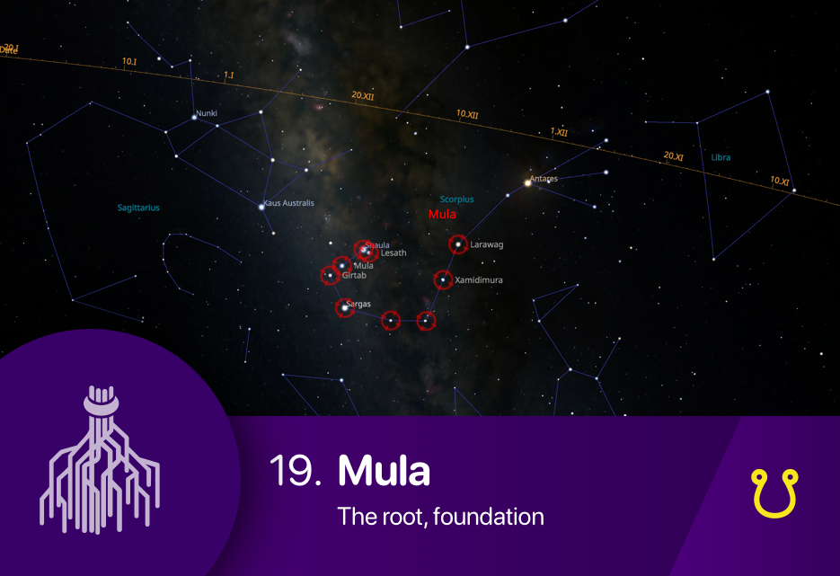 The Mula nakshatra asterism fixed stars Larawag, Sargas, Shaula, Lesah, Mula, Girtab, Xamidimura and Jabbah of Scorpius constellation